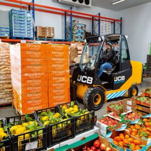 JCB  E