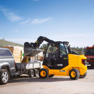 JCB D